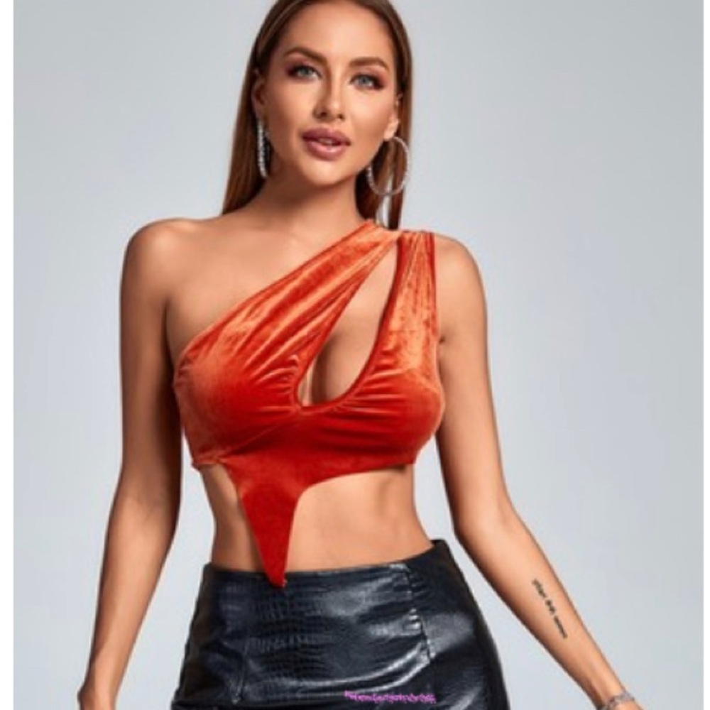 Steven Ella crop cut out top